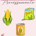tipos de alimento de acordo com o seu processamento